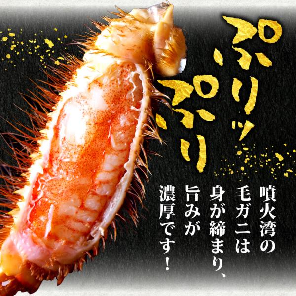 かに 蟹 毛ガニ 北海道 350g 前後 7尾 ボイル済 お取り寄せ ギフト 通販 冷凍 送料無料 プレゼント お祝い_3