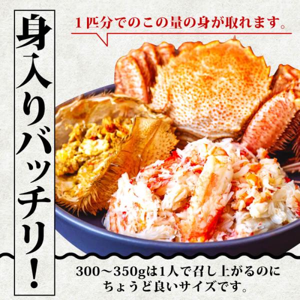 かに 蟹 毛ガニ 北海道 350g 前後 7尾 ボイル済 お取り寄せ ギフト 通販 冷凍 送料無料 プレゼント お祝い_4