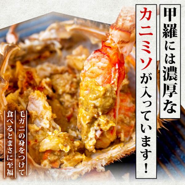 かに 蟹 毛ガニ 北海道 350g 前後 7尾 ボイル済 お取り寄せ ギフト 通販 冷凍 送料無料 プレゼント お祝い_5