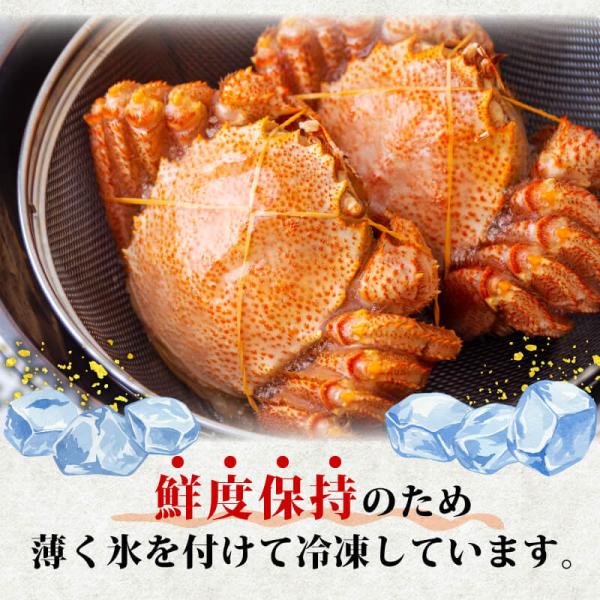 かに 蟹 毛ガニ 北海道 350g 前後 7尾 ボイル済 お取り寄せ ギフト 通販 冷凍 送料無料 プレゼント お祝い_6