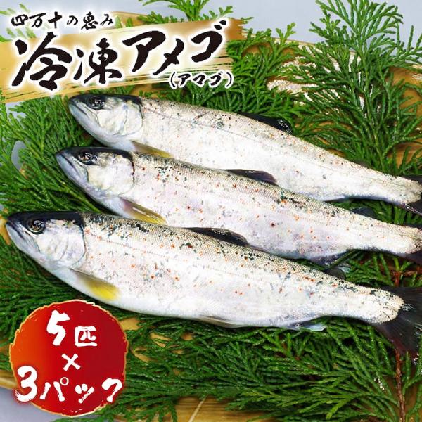 アメゴ 冷凍 内臓処理済み 3パック 魚 アマゴ 高知 清流 送料無料