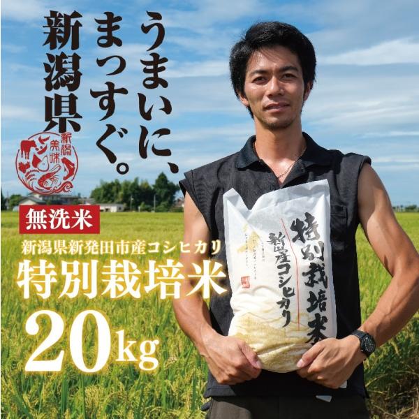 新潟 コシヒカリ 無洗米 20kg 米 こめ 特別栽培米 こしひかり 新潟産