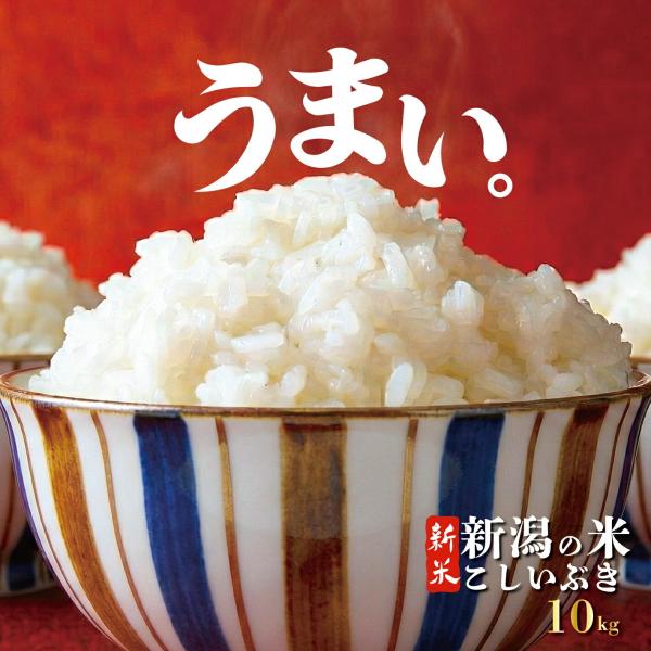 こしいぶき 10kg ご飯 お米 米 こめ 新潟産 新潟県産 新潟 国産