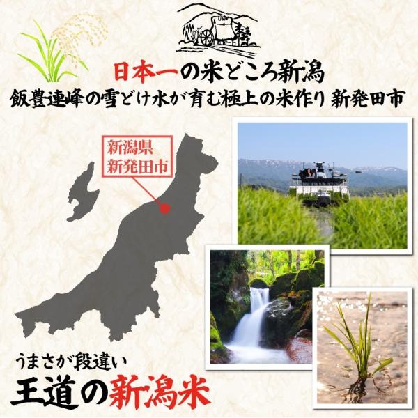 魚沼産 新潟 コシヒカリ 10kg 魚沼 魚沼産 南魚沼 米 お米 こしひかり_2