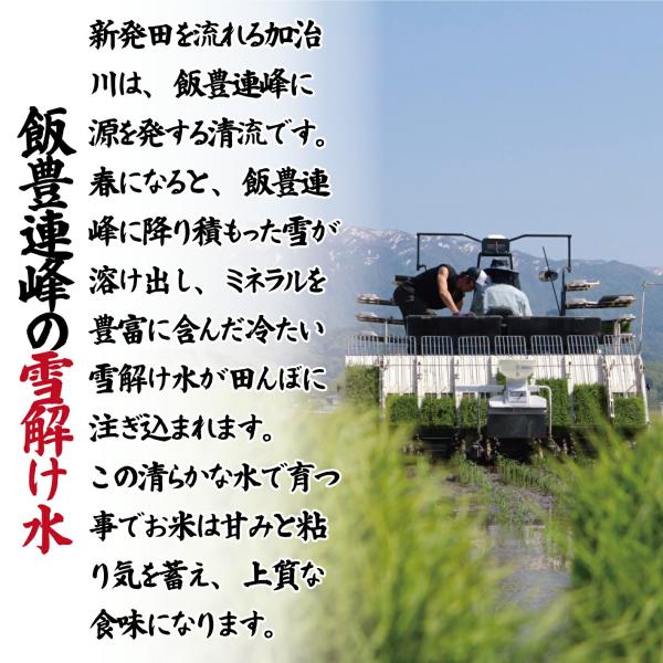 魚沼産 新潟 コシヒカリ 10kg 魚沼 魚沼産 南魚沼 米 お米 こしひかり_3