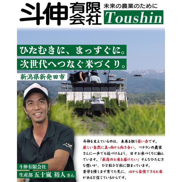 魚沼産 新潟 コシヒカリ 10kg 魚沼 魚沼産 南魚沼 米 お米 こしひかり_5