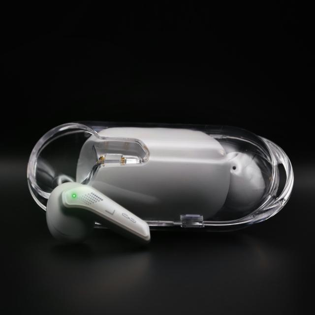 集音器イヤホン「クリアーサウンドF」 CS-F01