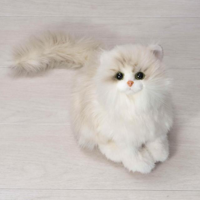 なでなでねこちゃん 子猫ちゃん ラグドール_3