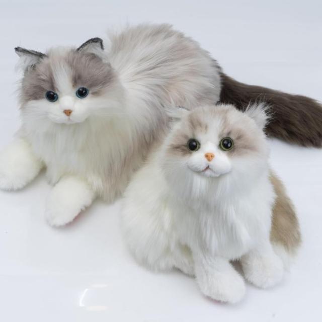 なでなでねこちゃん 子猫ちゃん ラグドール_5