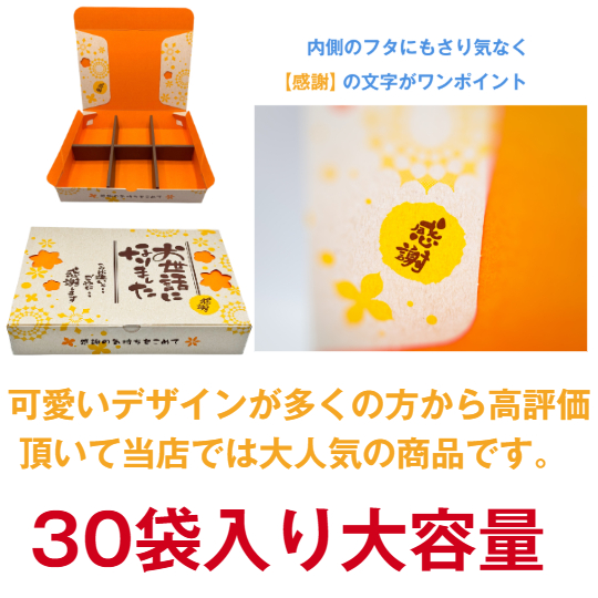 退職 お菓子 挨拶 お世話になりました 30袋入り 4個セット 送料無料 個