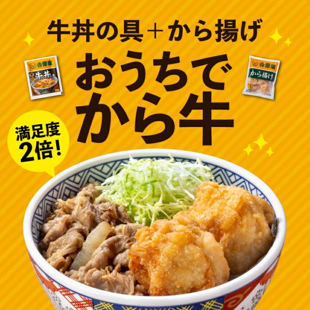 吉野家 公式【冷凍】大盛牛丼10袋＋から揚げ3袋セット 仕送り 買い置き 時短 グルメ 冷凍食品 ストック 時短 簡単 ギフト