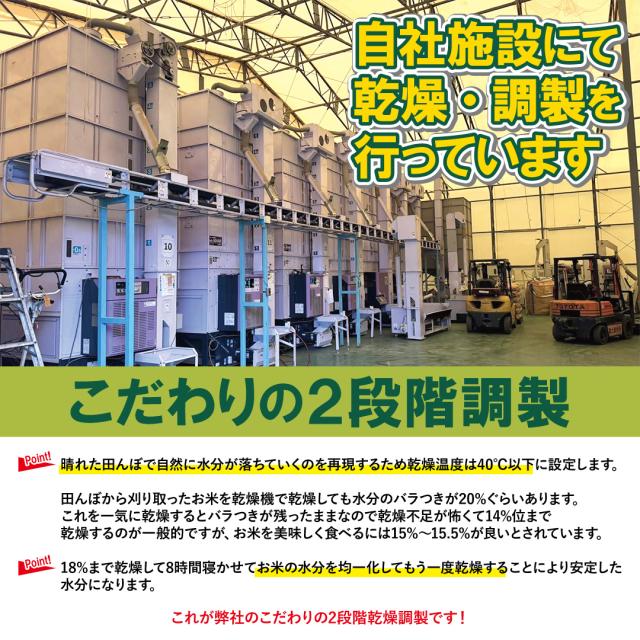 【農家直送】１等米　令和7年産にじのきらめき 玄米 30kg　新品種 大粒・良食味_2