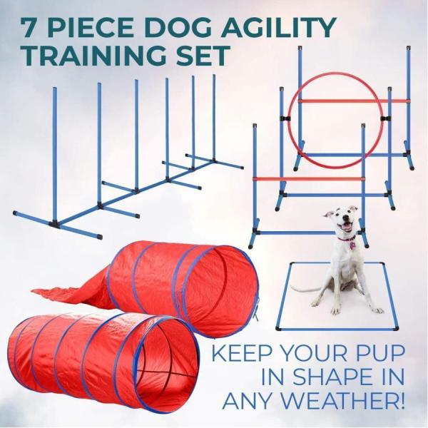 犬アジリティ トレーニング器具セット ハードル/トンネル/ポール Welina ドッグジャンプ 練習用 キャリーケース付き 屋外/室内 運動不足解消_3