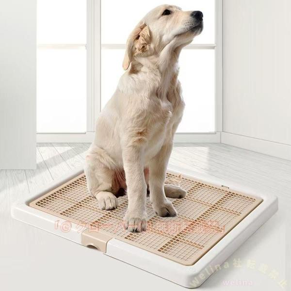 犬トイレトレー スーパーワイド 高床式 ペットトイレ Welina（株） フチもれしにくい トレーニング用 掃除しやすい すのこタイプ 大型犬にも対応