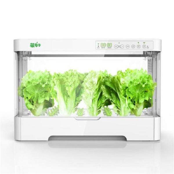 水耕栽培キット家庭用無土壌栽培システム屋内植栽ボックス自動化Welina（株）育苗ポット付きインテリジェントで野菜を育てる_2