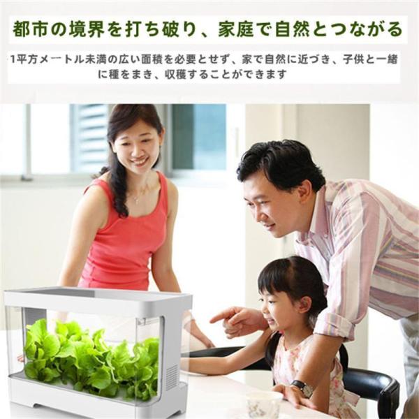 水耕栽培キット家庭用無土壌栽培システム屋内植栽ボックス自動化Welina（株）育苗ポット付きインテリジェントで野菜を育てる_3