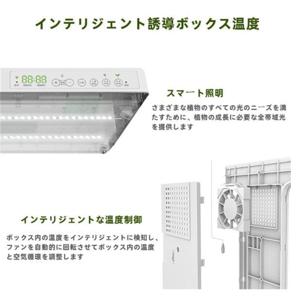 水耕栽培キット家庭用無土壌栽培システム屋内植栽ボックス自動化Welina（株）育苗ポット付きインテリジェントで野菜を育てる_4