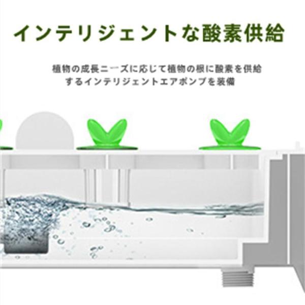 水耕栽培キット家庭用無土壌栽培システム屋内植栽ボックス自動化Welina（株）育苗ポット付きインテリジェントで野菜を育てる_5