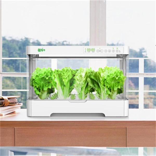 水耕栽培キット家庭用無土壌栽培システム屋内植栽ボックス自動化Welina（株）育苗ポット付きインテリジェントで野菜を育てる_6