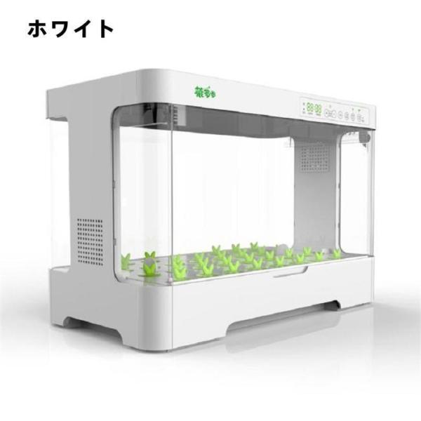 水耕栽培キット家庭用無土壌栽培システム屋内植栽ボックス自動化Welina（株）育苗ポット付きインテリジェントで野菜を育てる_8