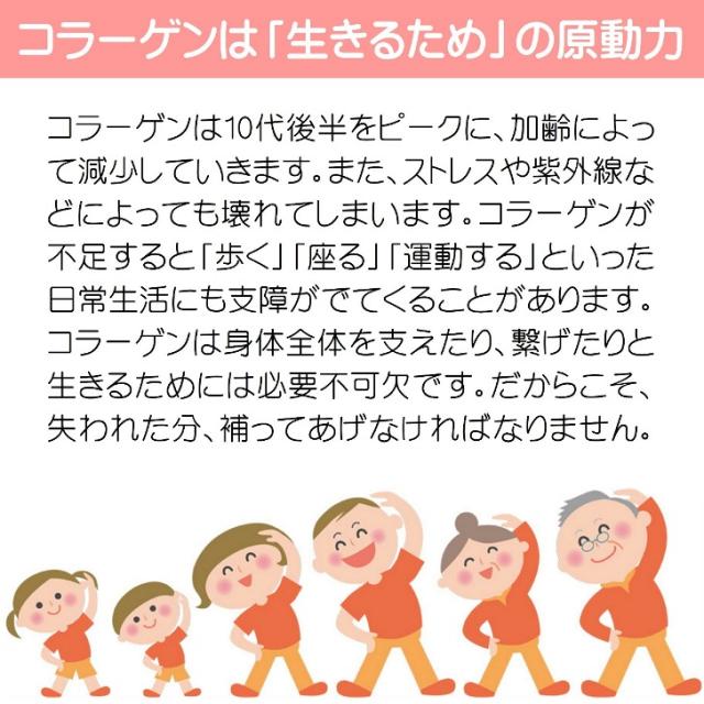 コラーゲン 粉末 無添加 溶けるコラーゲン 100％ パウダー 90g×6個 無味 無臭 無脂肪 サプリ 牛由来 低分子 美容 美肌 潤い おすすめ 国内製造 おきなわ晴家_2