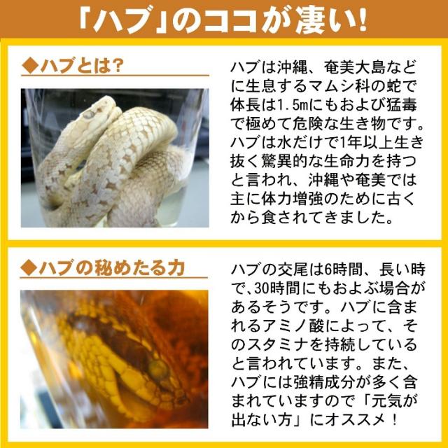 国産 ハブ粉 100g×2個 奄美大島産 ハブ 100％ 粉末タイプ 無添加 パウダー 健康食品 サプリ 栄養補助 アミノ酸 カルシウム 栄養 成分 まるごと ハブ パワー 元気 スタミナ 奄美大島のハブ 粉末 送料無料 沖縄ウコン堂_3
