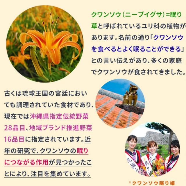 クワンソウ ゼリー 琉球の夢 シークワーサー味 (10g×30包入)×2箱 クワンソウエキス ギャバ 配合 不眠 快眠 沖縄産 クワン草 眠り草 サプリ スティック 2カ月分_1