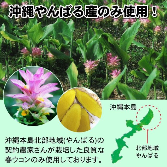 おきなわ晴家 沖縄県産 春ウコン粒 350g+100g(約2250粒) (沖縄産 春ウコン サプリメント) 送料無料_4