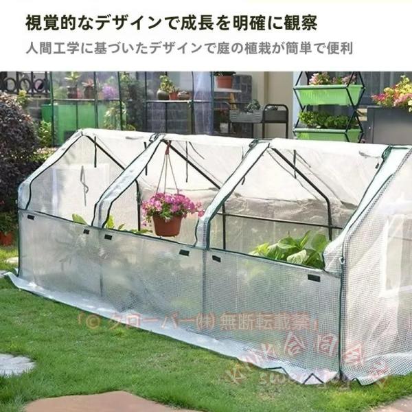 ビニール温室 簡易温室 菜園ハウス 育苗 KNK(株) グリーンハウス スチールパイプ 小型 寒冷対策 ガーデニング 家庭菜園 使いやすい 新入荷