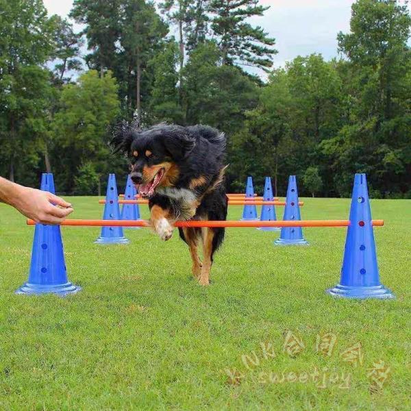 ドッグアジリティ トレーニング コーン ポール セット 犬 ジャンプバー KNK(株） ハードル 障害物 柵 競技 競争 練習 ジャンプ 運動不足解消 介護 多頭飼い 便利