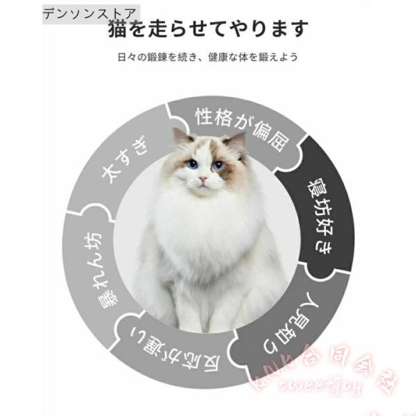 キャットホイール猫ランニング運動鍛錬ローラーミュートネコトレッドミル車輪KNK(株）猫回し車ストレス解消室内遊び猫用エクササイズホイール静音設計_3