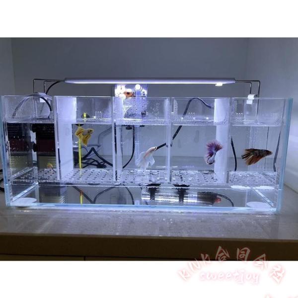 ベタ 水槽 ベタ飼育箱 プロ仕様 熱帯魚 観賞魚 KNK(株) 水族館風 水槽を並べる ショーベタ 魚飼育 透明ケース ディスプレイ 仕切り_1