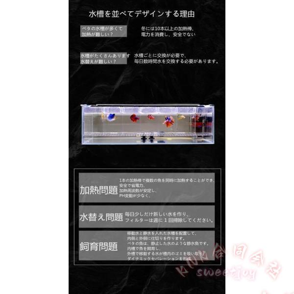 ベタ 水槽 ベタ飼育箱 プロ仕様 熱帯魚 観賞魚 KNK(株) 水族館風 水槽を並べる ショーベタ 魚飼育 透明ケース ディスプレイ 仕切り_2