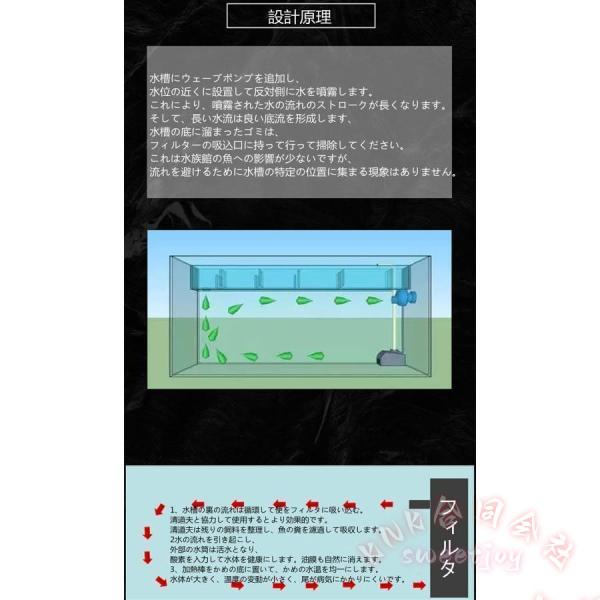 ベタ 水槽 ベタ飼育箱 プロ仕様 熱帯魚 観賞魚 KNK(株) 水族館風 水槽を並べる ショーベタ 魚飼育 透明ケース ディスプレイ 仕切り_3