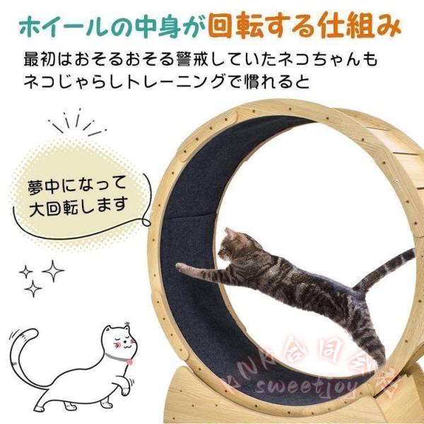 猫犬トレッドミル キャットホイール 木製 回し車 KNK(株) ルーム 