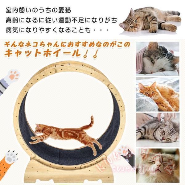 猫犬トレッドミル キャットホイール 木製 回し車 KNK(株) ルーム 