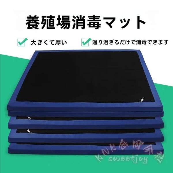 消毒フットマット 2個入り スポンジエントランスマット KNK(株) 消毒 玄関マット フロントドア エントリラグ 病院 実験室 動物飼育用 人間工学 フロアパッド