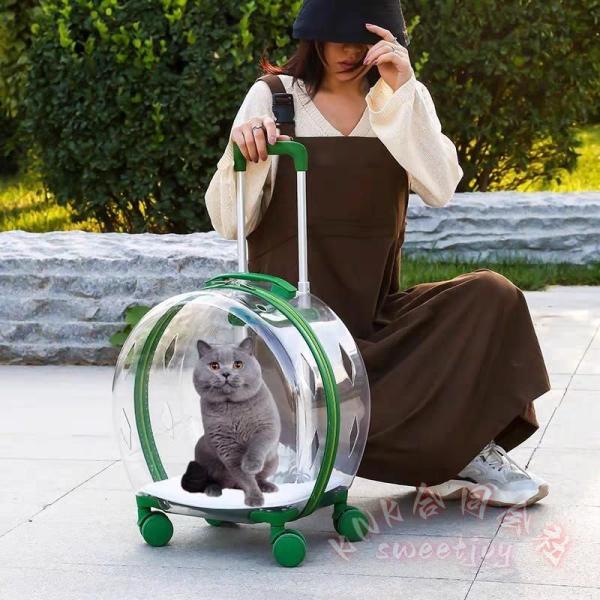猫用キャリーバッグ カート式 透明 丸形 KNK(株) マット付き ジップアップ ファスナー 持ち運び 便利 旅行 通院 お出かけ シンプル