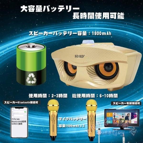 手持ちマイク 2本セット Bluetooth カラオケマイク ワイヤレス 多機能 ノイズキャンセリング KNK(株) スピーカーマイクセット 3色_3