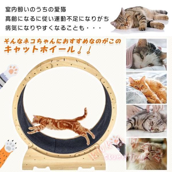 キャットホイール 猫用トレッドミル KNK(株） 回し車タイプ 安全ローラー 室内エクササイズ おもちゃ 運動不足対策 ルームランナー風 観覧車デザイン ペット用品_1