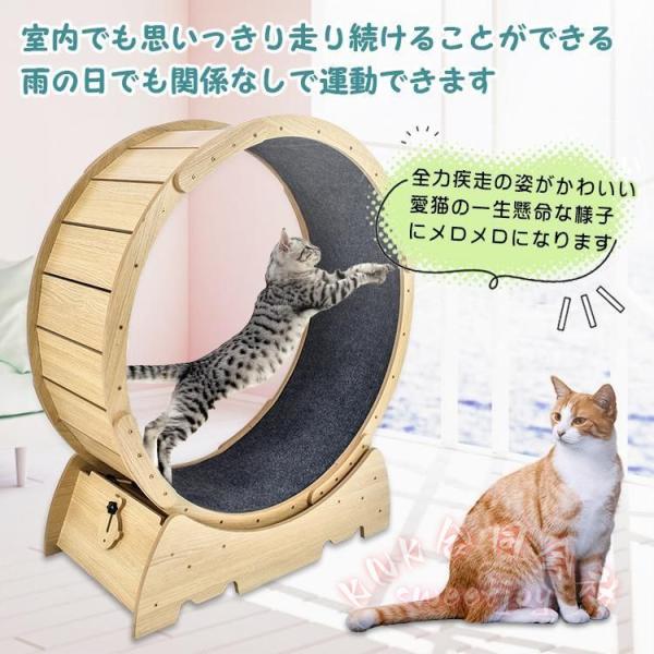 キャットホイール 猫用トレッドミル KNK(株） 回し車タイプ 安全ローラー 室内エクササイズ おもちゃ 運動不足対策 ルームランナー風 観覧車デザイン ペット用品_4