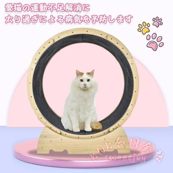 キャットホイール 猫用トレッドミル KNK(株） 回し車タイプ 安全ローラー 室内エクササイズ おもちゃ 運動不足対策 ルームランナー風 観覧車デザイン ペット用品_5