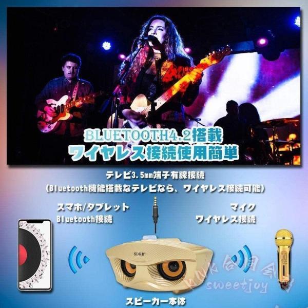 カラオケマイク Bluetooth ワイヤレス 2本 KNK(株) ノイズキャンセリング スピーカーマイク 多機能 3色 家庭用 パーティー 盛り上がる_4