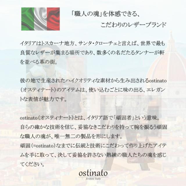 OSTINATO （オスティナート） イタリアンレザー ドラムリュック リュック バックパック ビジネスバッグ パソコン イタリア製 フィレンツェ バッグ バック 鞄 かばん メンズ おしゃれ ビジネス カジュアル 軽量 大きい 大容量 プレゼント 誕生日 高級 ( 55008 )za020_1