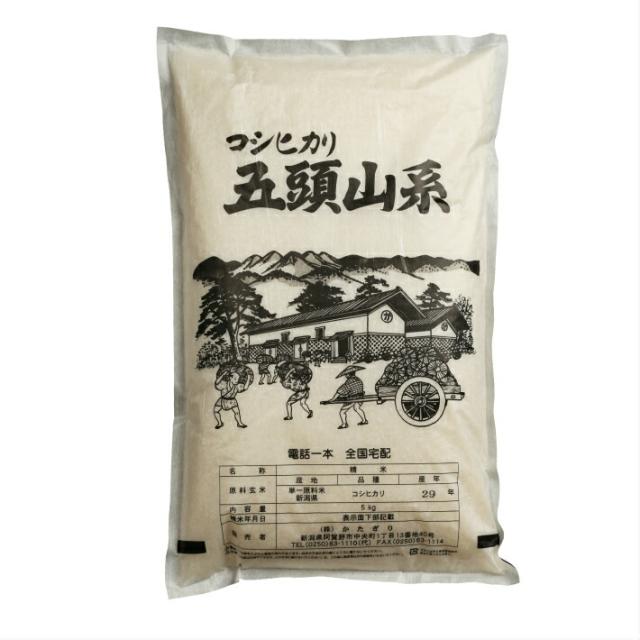 お米 令和7年産 米 コシヒカリ 新潟10kg 5kg×2 五頭山系 送料無料 即日発送10キロ 新潟県 こしひかり お米 単一原料 白米 精米 美味しいお米 従来コシヒカリ 美味しい米 ご飯