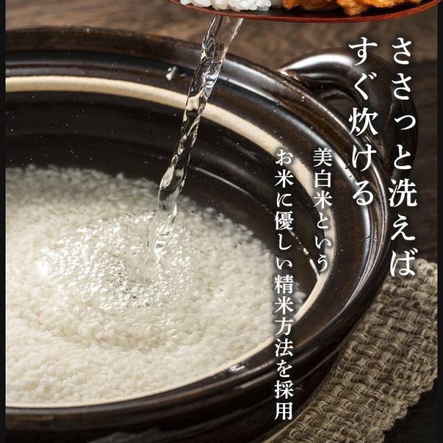 【特別価格】米 20kg 新潟産 コシヒカリ 送料無料 令和7年産 お米 5kg×4 こしひかり 20キロ 新潟県産 精米 白米 単一原料 美味しい お米 おいしい米 新潟産 こめ ご飯 産直 直送 ごはん 甘み粘り 冷めても美味しい お弁当にもおいしい 美味しい米 即日発送_4