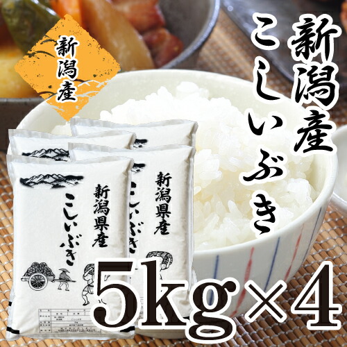 【特別価格】米 20kg 5kg×4 新潟県産 こしいぶき 令和7年産 お米 20キロ 送料無料 白米 精米 単一原料 新潟産 おいしいお米 おいしい米 美味しい米 美味しいお米 直送 産直 即日発送人気 お手頃 新潟米 コシイブキ 20キロ