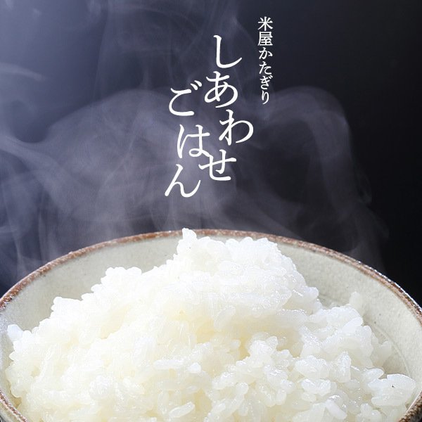 【特別価格】米 20kg 5kg×4 新潟県産 こしいぶき 令和7年産 お米 20キロ 送料無料 白米 精米 単一原料 新潟産 おいしいお米 おいしい米 美味しい米 美味しいお米 直送 産直 即日発送人気 お手頃 新潟米 コシイブキ 20キロ_2