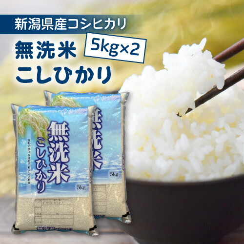 米 令和7年産 無洗米 新潟産 コシヒカリ 5kg×2 10kg 送料無料 即日発送 新潟県産 こしひかり おいしい無洗米 新潟 美味しい無洗米 おいしい無洗米 10キロ お米 米 5kg×2 新潟県産 こしひかり 10キロ 美味しいお米 単一原料 白米 精米