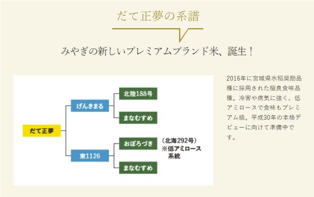 ご購入者全員にプレゼント 令和7年産 〈精米 だて正夢 10kg〉 宮城県産 米 お米 白米 (5kg×2袋) 選べる米ぬか 米糠 送料無料 安い ブランド米 10キロ_2